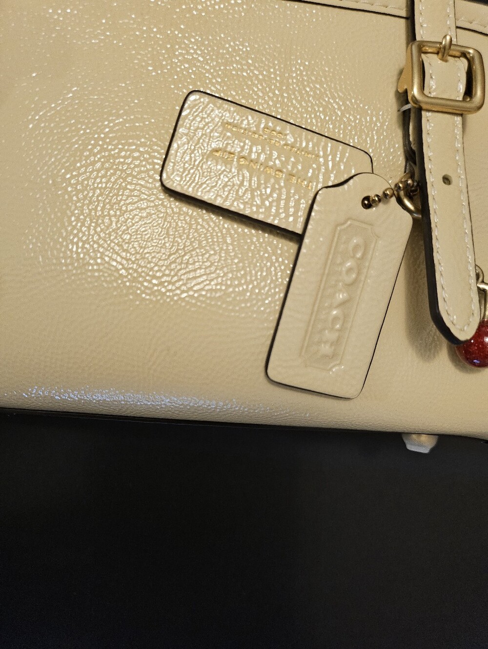 NWT COACH Swing Zip 20 in Moonlight - Picture 2 of 5
